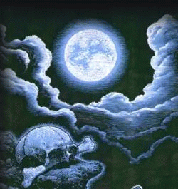 Crystal Spiders : Fog